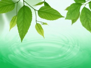 Curso Superior de Terapia Gestalt